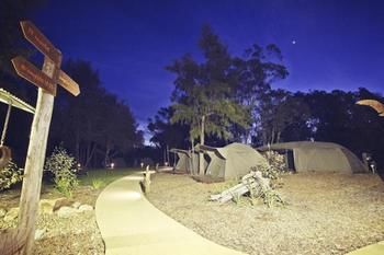 Billabong Camp, Taronga Western Plains Zoo - Kalgoorlie Accommodation 12