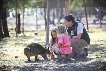 Billabong Camp, Taronga Western Plains Zoo - Kalgoorlie Accommodation 14