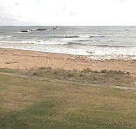 Penguin Caravan Park
