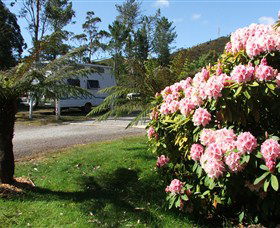 Zeehan Bush Camp  And Caravan Park - Kalgoorlie Accommodation 0