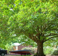 Lakes and Craters Holiday Park - Kalgoorlie Accommodation