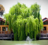 Perricoota Vines Retreat Echuca Moama - Kalgoorlie Accommodation