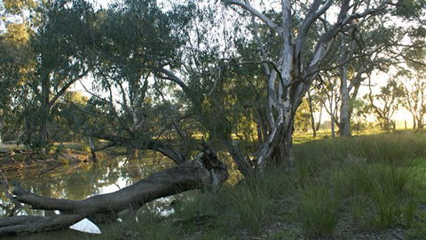 Numurkah Caravan Park - Kalgoorlie Accommodation 5