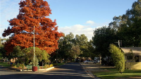 Numurkah Caravan Park - Kalgoorlie Accommodation 6