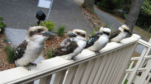 Around About Lorne Studios Or B&B - Kalgoorlie Accommodation 2