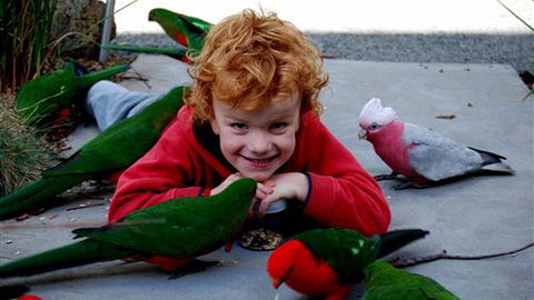 Around About Lorne Studios Or B&B - Kalgoorlie Accommodation 3