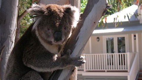 Around About Lorne Studios Or B&B - Kalgoorlie Accommodation 1