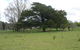 Auberge Woodend - thumb 3