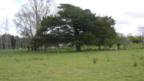 Auberge Woodend - Kalgoorlie Accommodation 3