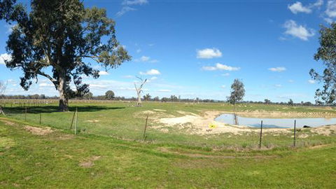 Twin Palms Cottage - Kalgoorlie Accommodation 6