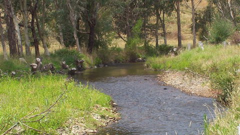 Murphy's Cabin - Kalgoorlie Accommodation 0