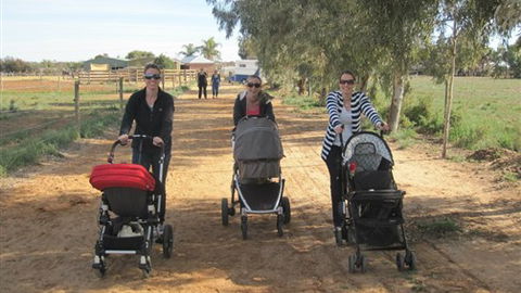 Cabarita Lodge - Kalgoorlie Accommodation 3