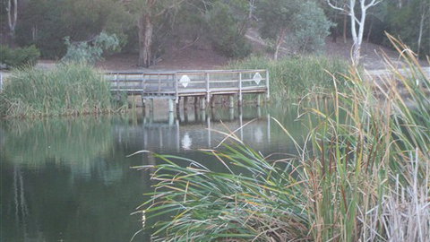 Mallard House Ballarat - Kalgoorlie Accommodation 5