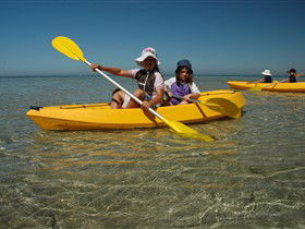Ceduna Shelly Beach Caravan Park And Beachfront Villas - Kalgoorlie Accommodation 3