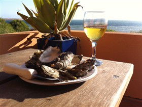 Ceduna Shelly Beach Caravan Park And Beachfront Villas - Kalgoorlie Accommodation 4