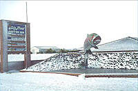 Big Trout Motor Inn - Kalgoorlie Accommodation 1