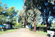 Cudal Caravan Park - Kalgoorlie Accommodation 0