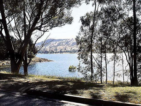 Ibis Styles Albury Lake Hume Resort - Kalgoorlie Accommodation 1