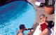Macleay Serviced Apartment/Hotel - thumb 3