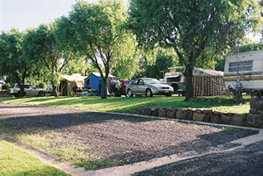 Poplar Caravan Park - Kalgoorlie Accommodation 3