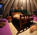 Aranyani Bison Adventure Tourist Park - Kalgoorlie Accommodation