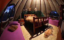 Aranyani Bison Adventure Tourist Park - Kalgoorlie Accommodation 0
