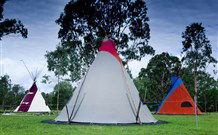 Aranyani Bison Adventure Tourist Park - Kalgoorlie Accommodation 1