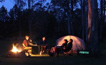 Aranyani Bison Adventure Tourist Park - Kalgoorlie Accommodation 2