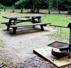 Bellbird campground - Kalgoorlie Accommodation