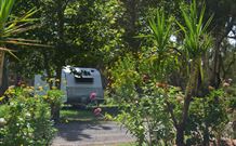 Darlington Point Riverside Caravan Park - Kalgoorlie Accommodation 1