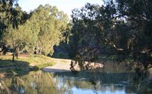 Darlington Point Riverside Caravan Park - Kalgoorlie Accommodation 2
