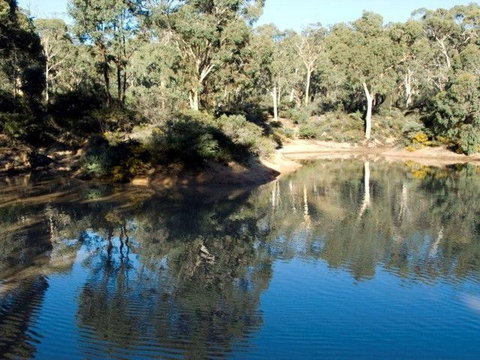 Toodyay Holiday Park & Chalets - Kalgoorlie Accommodation 4