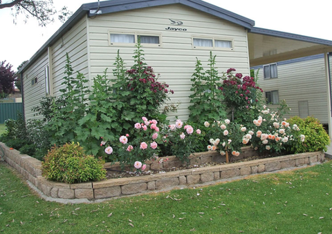 Walcha Caravan Park - Kalgoorlie Accommodation 3