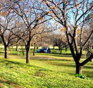 Wellington Caves Caravan Park - Kalgoorlie Accommodation
