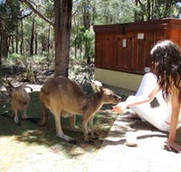 Yelverton Brook Eco Spa Retreat and Conservation Sanctuary - Kalgoorlie Accommodation