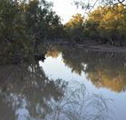 Four Mile Camping Reserve - Kalgoorlie Accommodation
