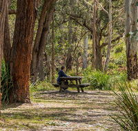 Koreelah Creek campground - Kalgoorlie Accommodation