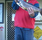 Rainbow Pines Tourist Caravan Park - Kalgoorlie Accommodation