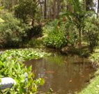 Tallowood Ridge B and B - Kalgoorlie Accommodation