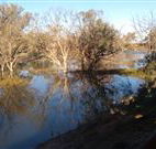 Warrawong on the Darling - Kalgoorlie Accommodation