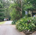 Tamborine Mountain Caravan  Camping - Kalgoorlie Accommodation