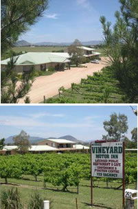Mudgee Vineyard Motor Inn - Kalgoorlie Accommodation 0