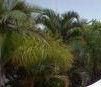 Ballina Beach Resort - Kalgoorlie Accommodation 4