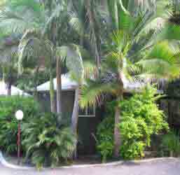 Nambour Rainforest Holiday Village - Kalgoorlie Accommodation 1