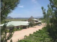Mudgee Vineyard Motor Inn - Kalgoorlie Accommodation 1