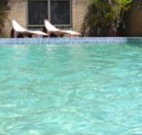 Toreador Motel - Coffs Harbour - Kalgoorlie Accommodation