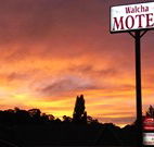 Walcha Motel - Walcha - Kalgoorlie Accommodation