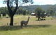 Mayfield Vineyard Cottages - thumb 3