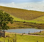 Sanctuary Hill Retreat - Kalgoorlie Accommodation