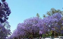 Andavine House Bed And Breakfast - Kalgoorlie Accommodation 5